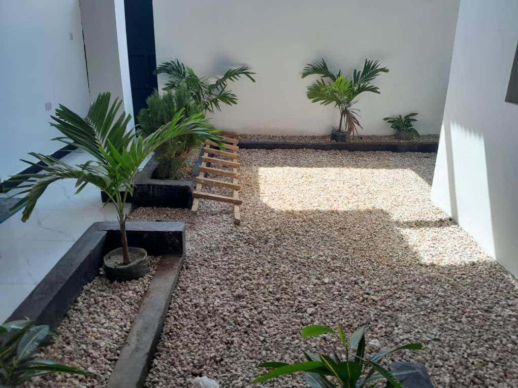 נונגווי Zansi Beach House מראה חיצוני תמונה