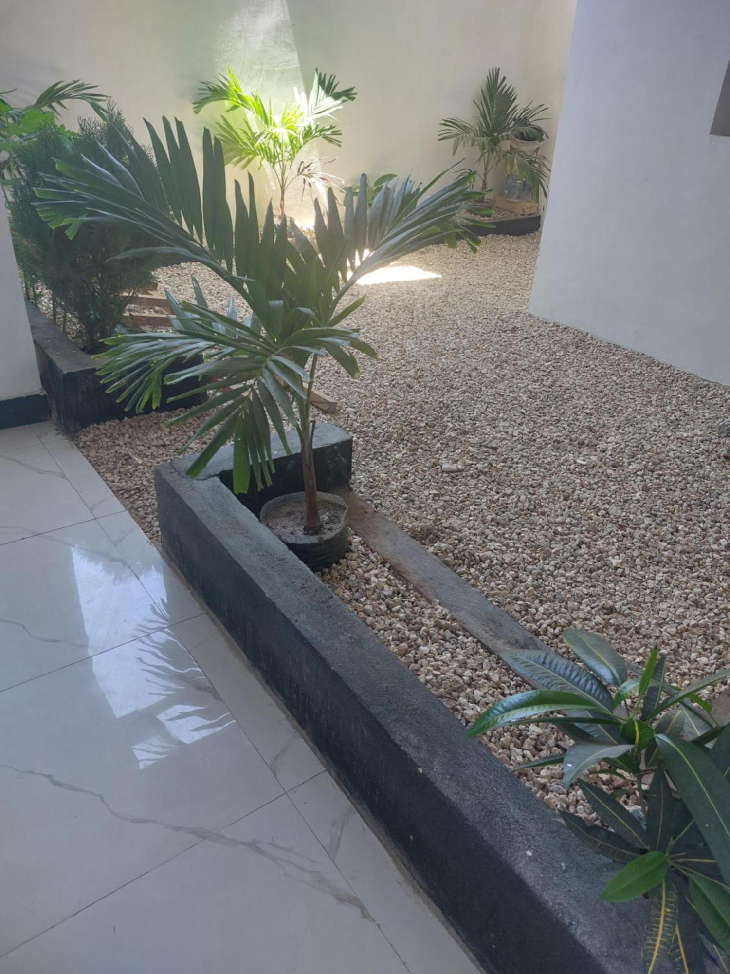נונגווי Zansi Beach House מראה חיצוני תמונה